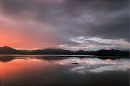 Evening light & reflections