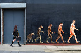 Evolution