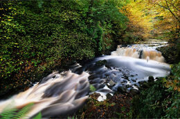 Glenariff River Co. Antrim