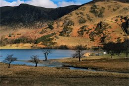 Golden colours of Buttermere