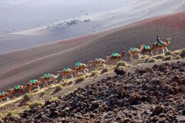 Lanzarote