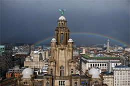 Liver Bird & Rainbow