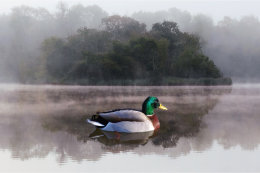 Loughgall Co Armagh