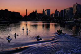 Paddle boarders after sundown