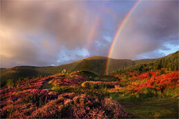 Rainbow at Cloughmore big stone