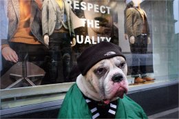 Respect the quality