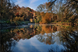 River Lagan autumn reflections