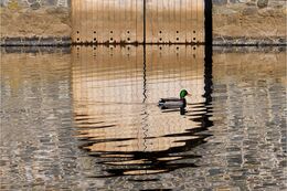 Shaw's Bridge Boathouse Belfast