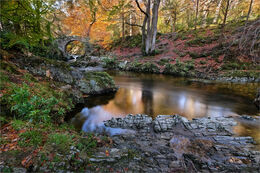 Shimna River at Foley's Bridge
