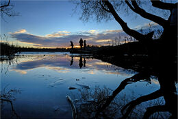 Silhouette scene at Loughgall