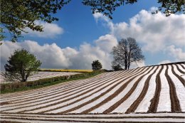 Spring field patterns