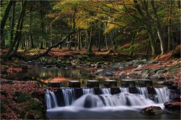 Stepping Stones on Shimna River Co Down