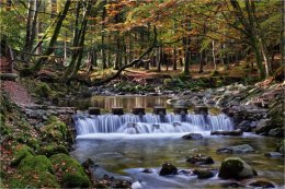 Stepping Stones