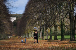 Stormont Estate Belfast