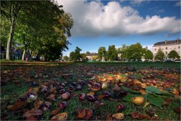 The Fall in Armagh