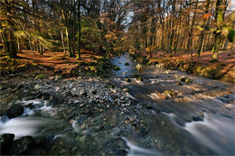 Tollymore Forest Co. Down