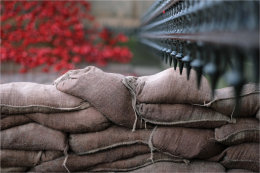 Weeping Window of Poppies Liverpool