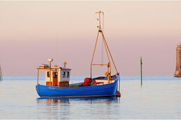 William John in Greencastle