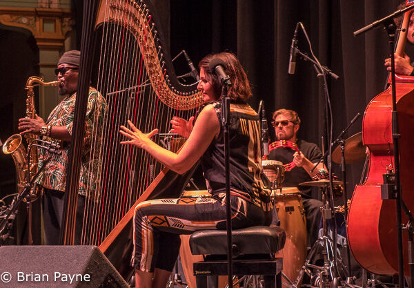 Alina Bzhezhinska - Hip Harp Collective