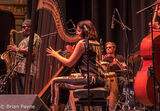 Alina Bzhezhinska - Hip Harp Collective