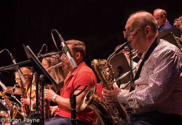 Horn section