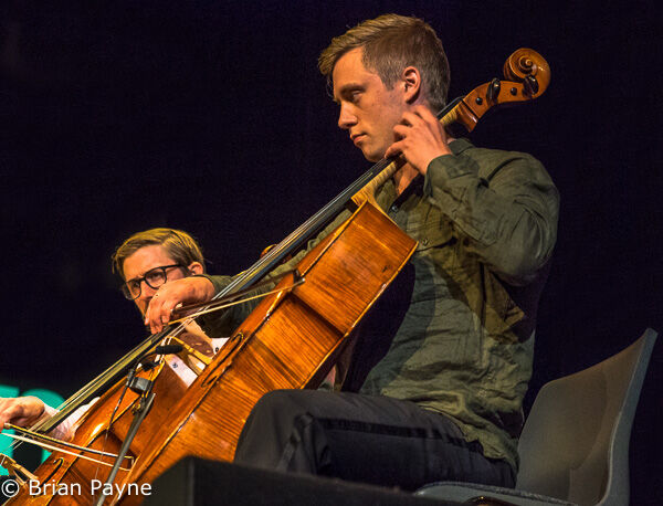 Musica Vitae