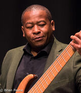 Wayne Matthews