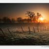 The Light of Dawn - Claymills - Staffs - SS4325