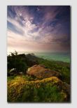 Across the Roaches-SS171