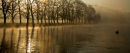 Trees on the Trent - SS103