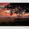Boss Creek - SUF0673