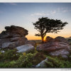 Dartmoor Torr Sunburst - W5D34625