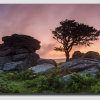 Holwell Tor at Dawn - Panorama