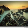 Ocean Dream's - 3 - W5D34994