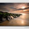 Earl Morning on the Suffolk Coast - SUF0739