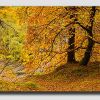 Scottish Highland - Autumn Panorama