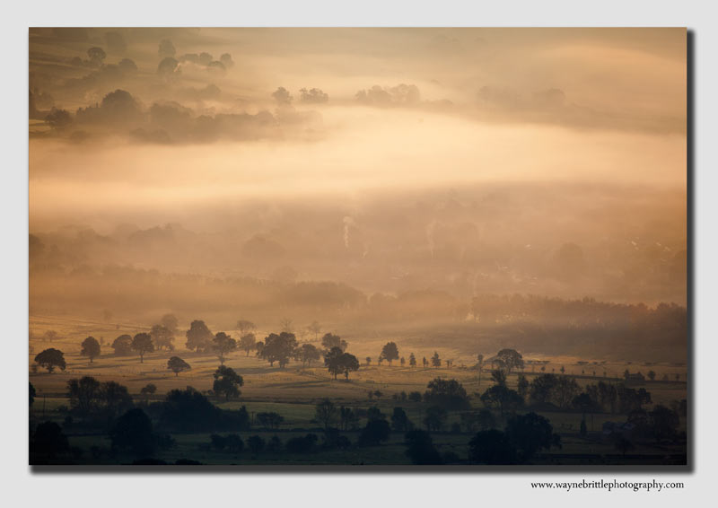 Hope Valley Mist - 7898