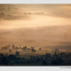 Hope Valley Mist - 7898