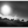 Into the morning light - Peak District - SS7866