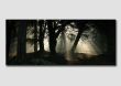Misty Morning Light v2 - DP013