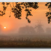 Misty Sunrise at Elvaston Castle