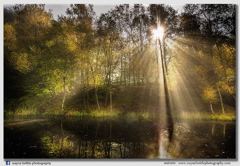 Misty Morning, Forth & Clyde Canal - W5D34486