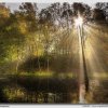 Misty Morning, Forth & Clyde Canal - W5D34486