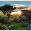 Holwell Torr evening sun - W5D34442