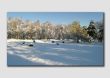 Nine Ladies Stone Circle in the snow - PP028