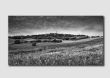 Pienza Fields - Black & White - TS0549