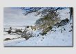 Sheep in the Snow - Peak District - PS111