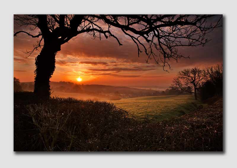 Rangemore Dawn 4 - S5074