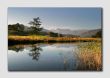 River Brathay, Elterwater