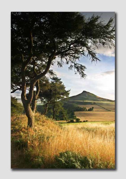 Roseberry Topping - YS013